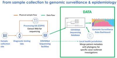 Implementation of California COVIDNet – a multi-sector collaboration for statewide SARS-CoV-2 genomic surveillance